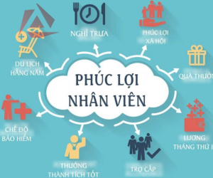 BẢO HIỂM - PHÚC LỢI