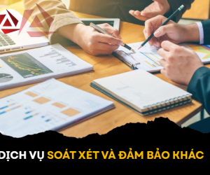DỊCH VỤ SOÁT XÉT VÀ ĐẢM BẢO KHÁC