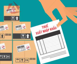 KHAI VÀ NỘP THUẾ XUẤT NHẬP KHẨU