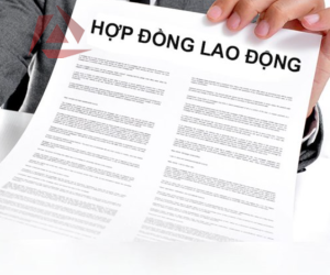 HỢP ĐỒNG LAO ĐỘNG