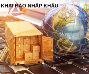 KHAI BÁO NHẬP KHẨU
