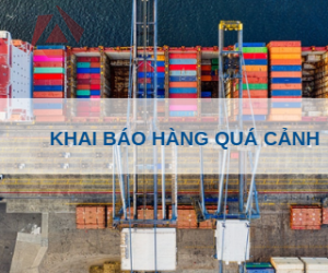 KHAI BÁO HÀNG QUÁ CẢNH