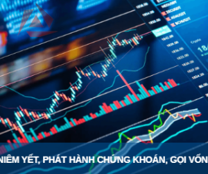 KIỂM TOÁN PHỤC VỤ NIÊM YẾT, PHÁT HÀNH CHỨNG KHOÁN, GỌI VỐN