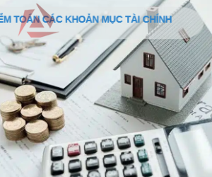 KIỂM TOÁN CÁC KHOẢN MỤC TÀI CHÍNH CỤ THỂ (TIỀN, HÀNG TỒN KHO, DOANH THU…)