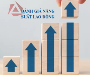ĐÁNH GIÁ NĂNG SUẤT LAO ĐỘNG