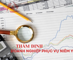THẨM ĐỊNH DOANH NGHIỆP PHỤC VỤ NIÊM YẾT
