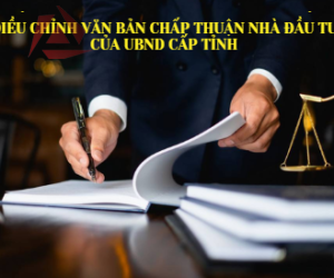ĐIỀU CHỈNH VĂN BẢN CHẤP THUẬN NHÀ ĐẦU TƯ CỦA UBND CẤP TỈNH