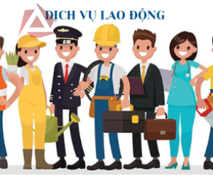 DỊCH VỤ LAO ĐỘNG